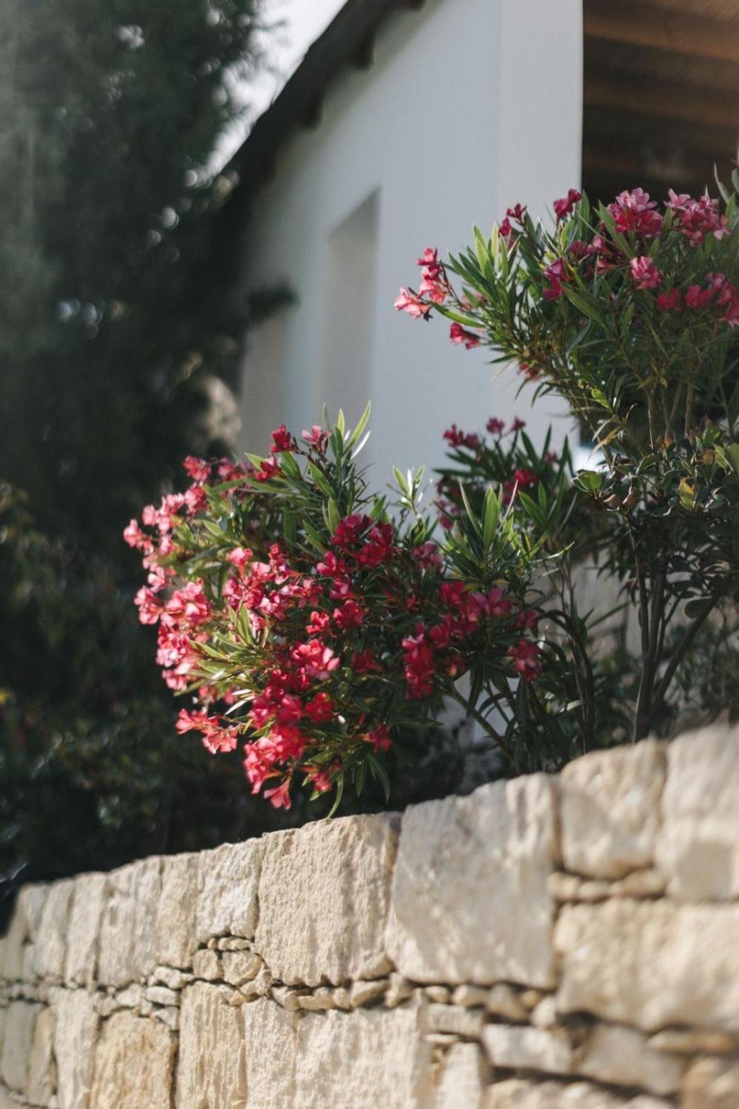 Affittacamere Cecilias Courtyard Malya Esterno foto